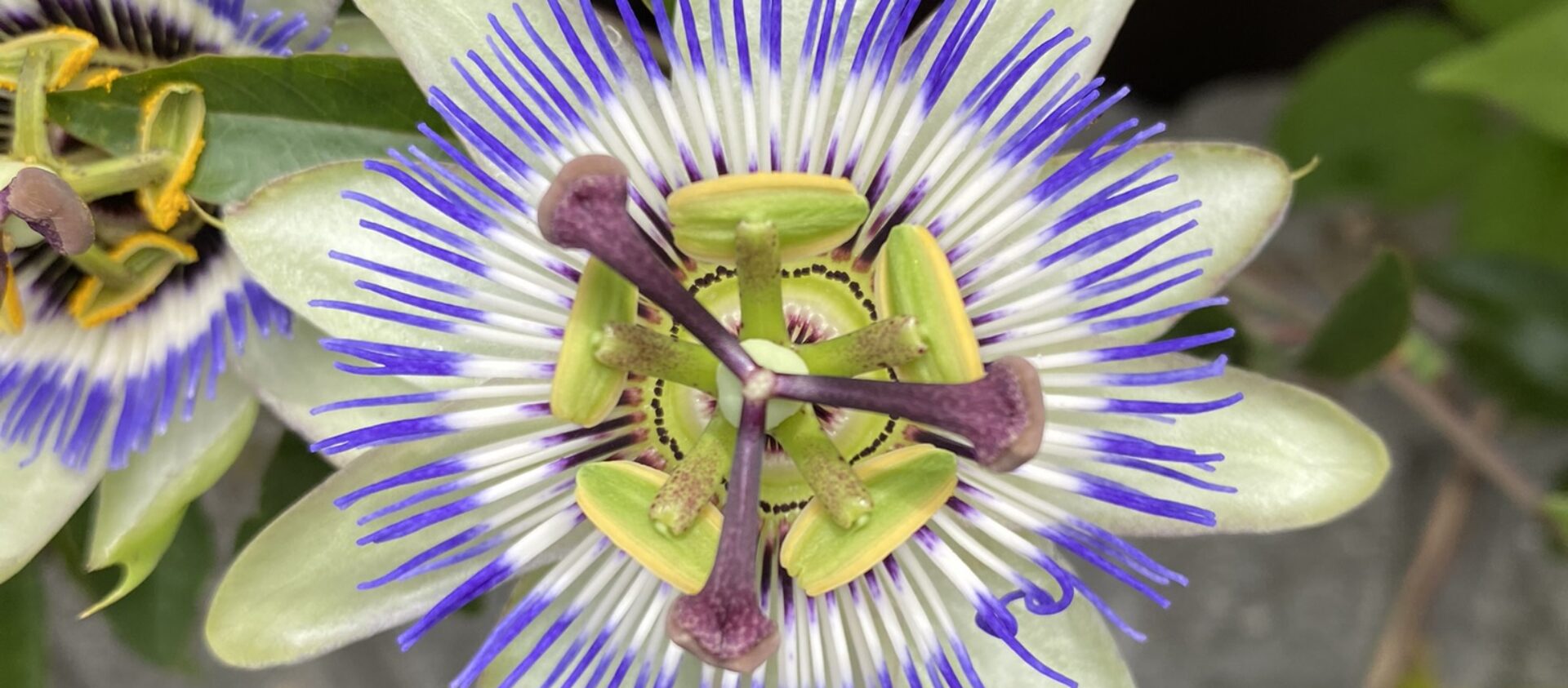 みらい設計株式会社