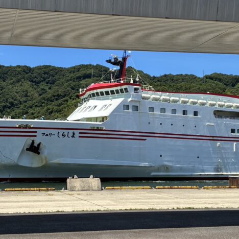 広島県TLS測量